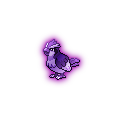 Shadow Pidgey